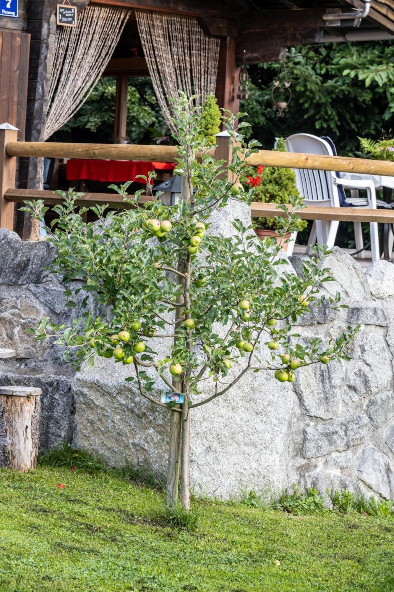 Apartamento Ferienhütte Puutz Wörgl Exterior foto